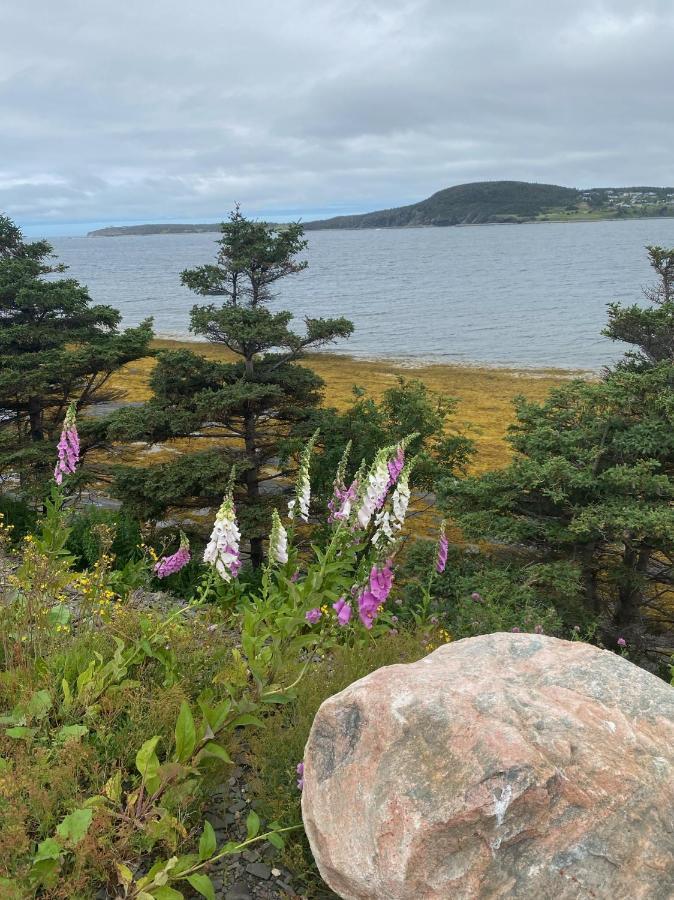 Rocky Harbour Oceanfront Villa Exteriör bild