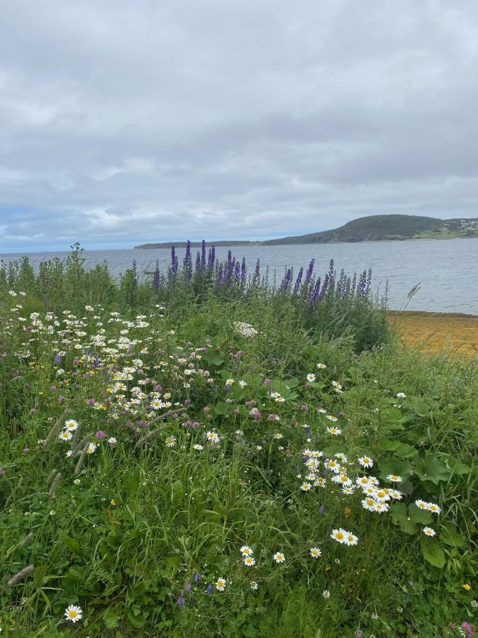 Rocky Harbour Oceanfront Villa Exteriör bild